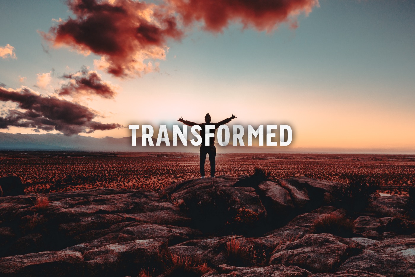 Example or screenshot of work 